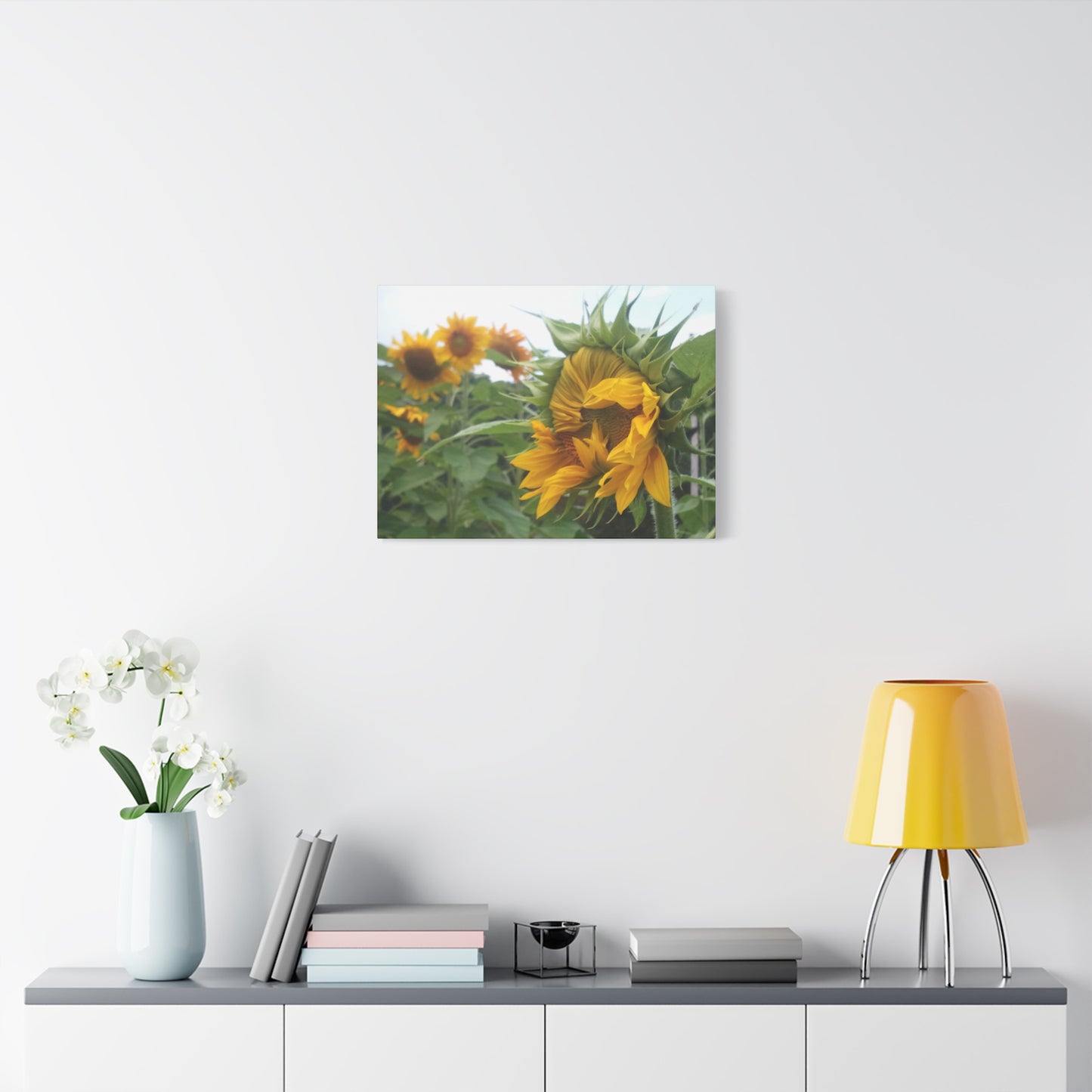 Emerging Sunflower Matte Canvas, Stretched Botanical Photography Art Flower Emotional