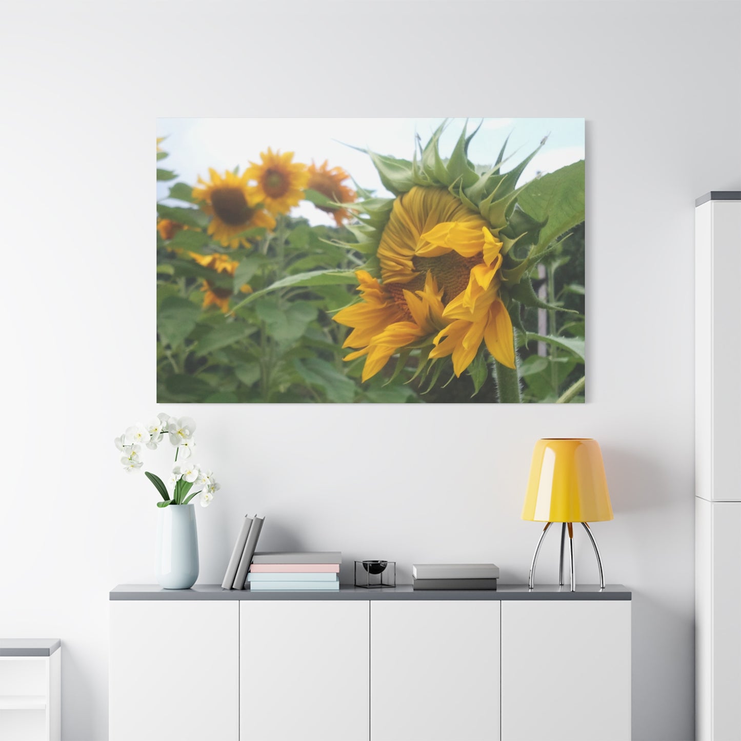 Emerging Sunflower Matte Canvas, Stretched Botanical Photography Art Flower Emotional