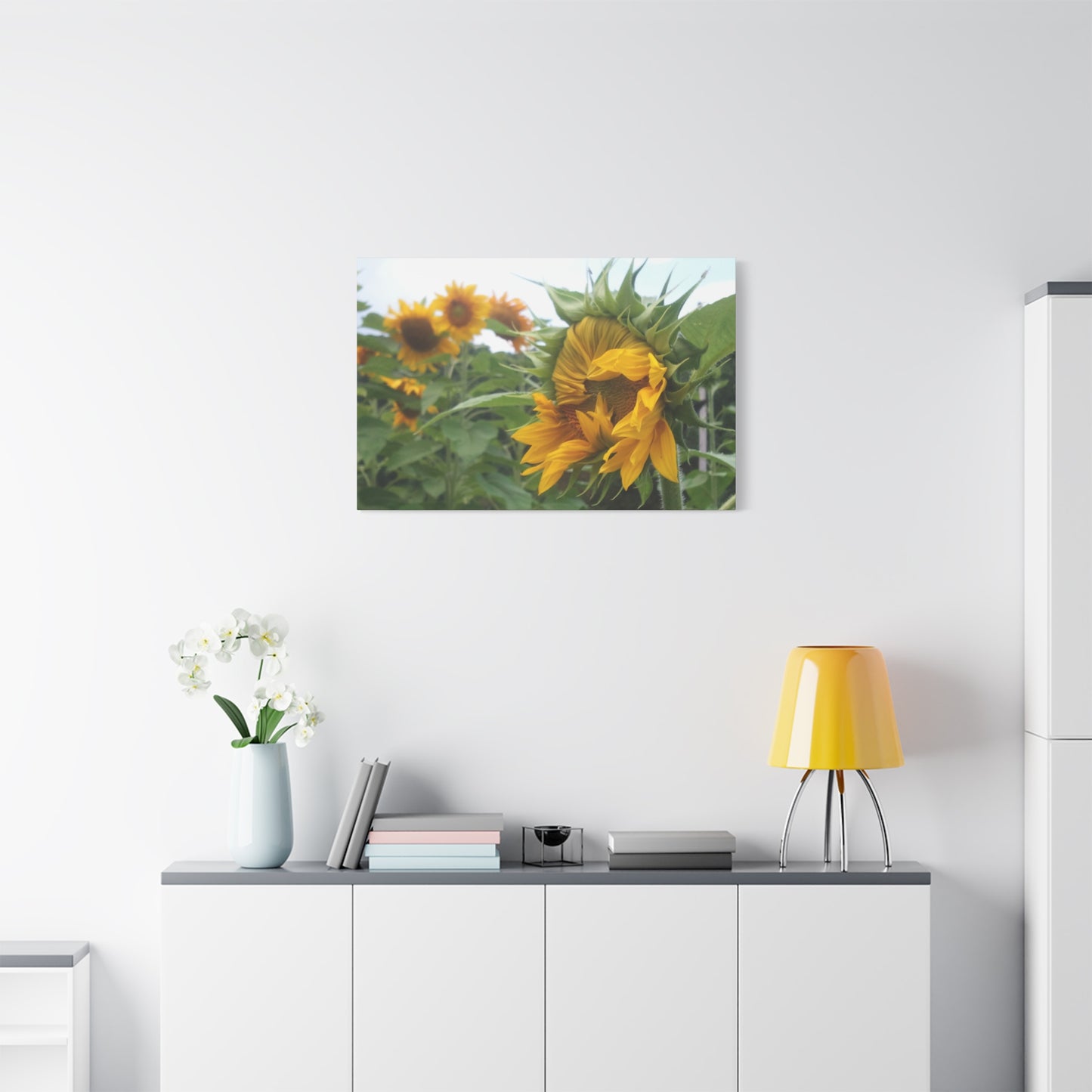 Emerging Sunflower Matte Canvas, Stretched Botanical Photography Art Flower Emotional